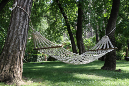A rope hammock positioned between two trees during the summer.
