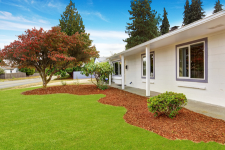 A mulch border with a shade tree near a home.