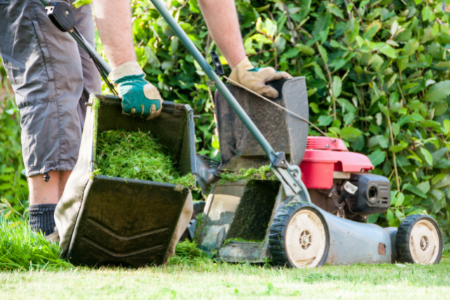 A person emptying the cut grass from a lawnmower.