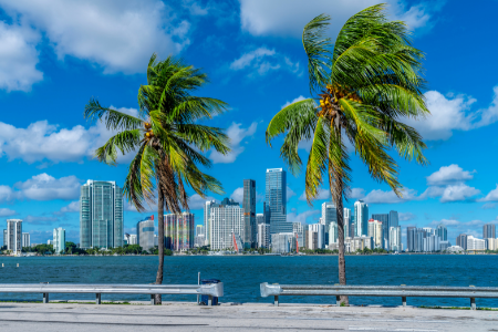 A view of the city skyline after moving to Miami.