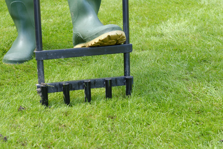 A person stepping on a garden tool to aerate the lawn for fall.