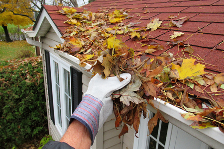 A hand removing fall leaves and debris from gutters.