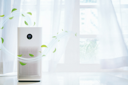 An air purifier, one of the small appliances to make your home feel more luxurious.