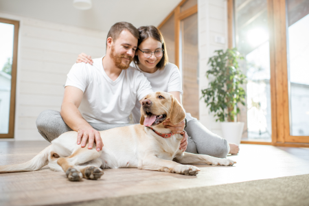 A couple introducing their dog to a new home, the last step in our guide to house hunting.