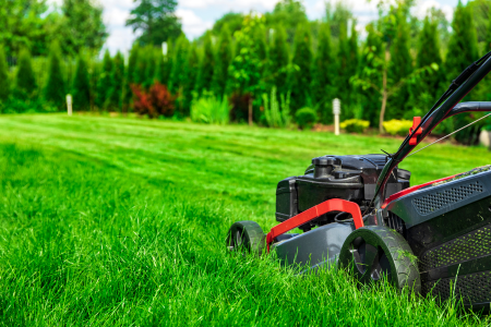 A lawn mower cutting grass to the correct height, one of the lawn care tips for homeowners.