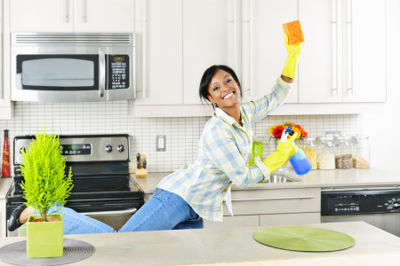 How to Clean Your Kitchen Sink and Faucet - Mom 4 Real